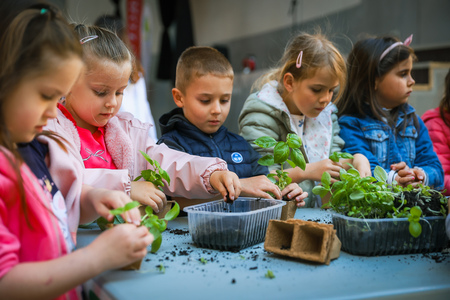 Dan Zemlje_Foto Daniel Skerjanc-0195